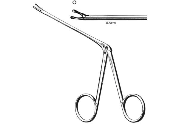 Ear Forceps R-6047