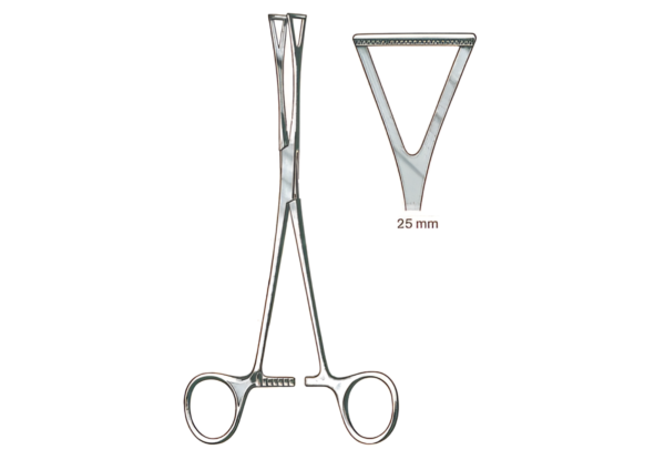 Intestines forceps R-6852