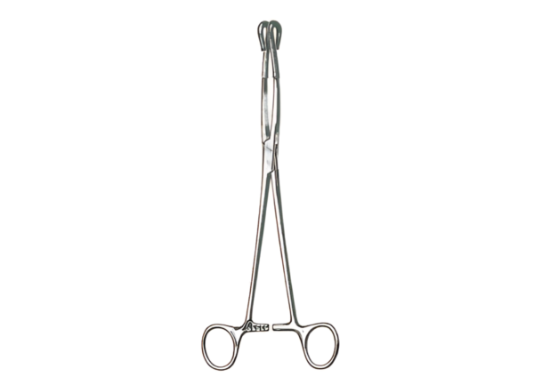 Intestines forceps R-6855