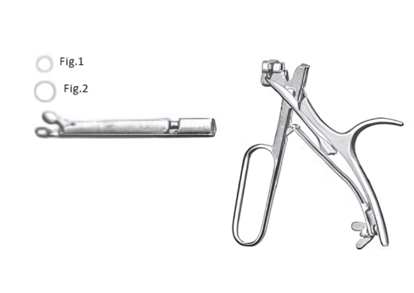 Larynx R-6652