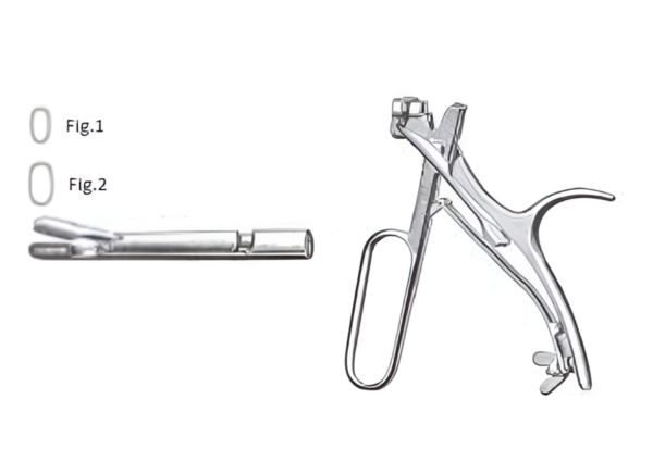 Larynx R-6654