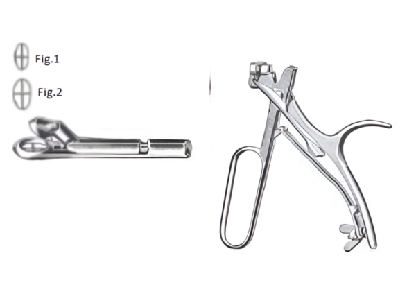 Larynx R-6657