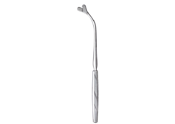 Larynx R-6640