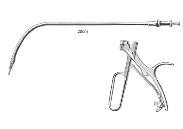 Larynx R-6646