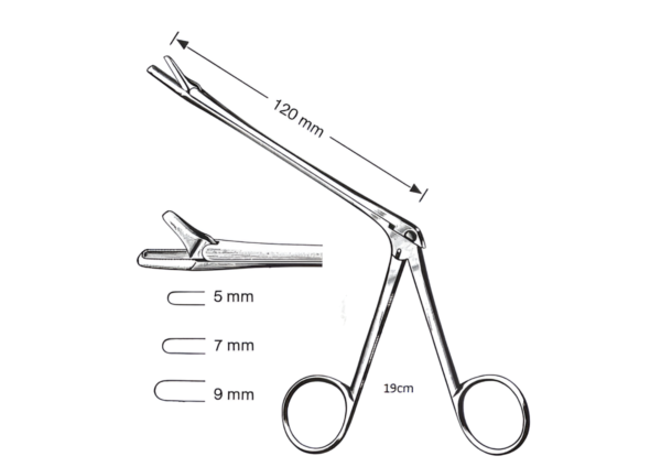 Nasal Cutting Forceps R-6355